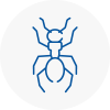 Ant Removals In Letchworth