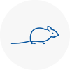 Mice Exterminators In Letchworth
